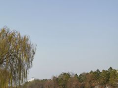 -苏州太湖国际会议中心