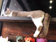 -MIKAKU(万达广场上海宝山店)