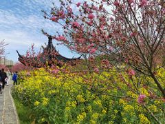 -南汇桃花村