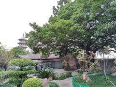 -乌山风景区