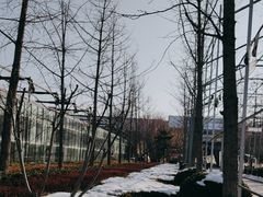 -南宫五洲植物乐园