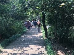 -杭州半山国家森林公园