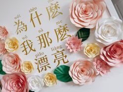 -Lab Season惜辰颜究社
