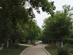-前关湿地公园
