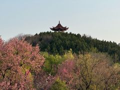 -禹州森林植物园