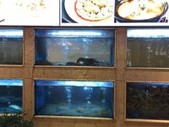 -阿英煲(凉城路店)