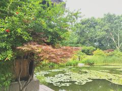 -习家池