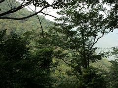 android_upload_pic-藏龙百瀑风景区