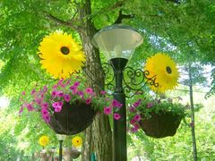 -哈尔滨文化公园