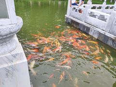 -珠海圆明新园