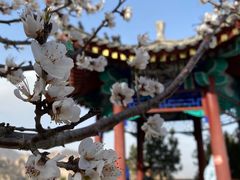 -北京凤凰岭