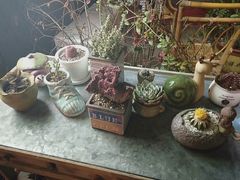 -Kitchen·Y洋厨房西餐厅(王府壹号店)