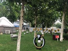 -九十九顶毡房(阜石路店)