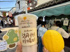 -猫的魔法密林(衣裳街店)