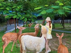 -云栖山谷野奢营地