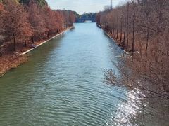 -上海海湾国家森林公园