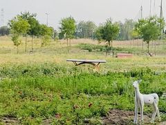 -酷鱼垂钓CLUB(朝阳区博大路店 )