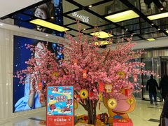 -凯德MALL(望京店)