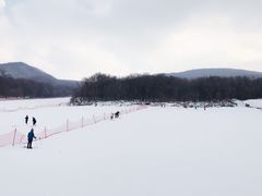 景点-五家山森林公园滑雪场