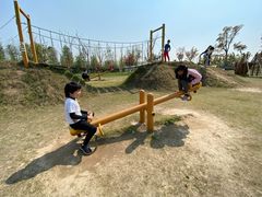 -上海长兴岛郊野公园