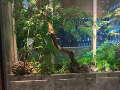 -海立阁海鲜江浙菜(漕河泾印象城店)