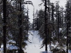 -瓦屋山景区