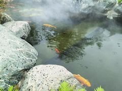 -广东温泉宾馆