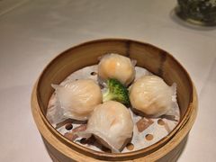 -悦景酒家(福田店)