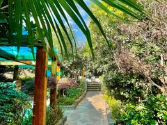 -华侨城阳宗海海景温泉