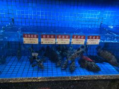 水产区-协成海鲜火锅(情侣路店)