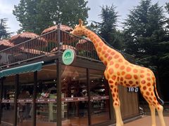 -大连森林动物园