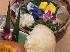 -mango tree芒果树(万象城店)