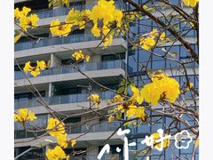 -洲头咀公园