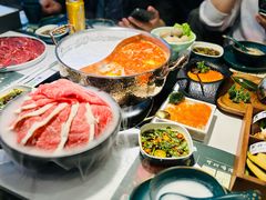 -椰子湾·海南火锅·糟粕醋·椰子鸡(正大广场店)