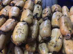 -海吉星国际农产品物流管理有限公司