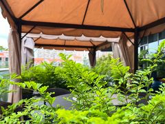 -新吉士·上海菜(浦东LCM置汇旭辉店)