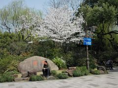 -墅园