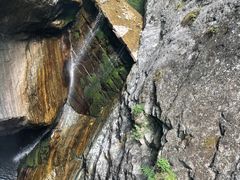 -牛背梁国家森林公园
