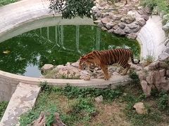 -石家庄市动物园