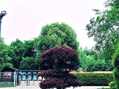 -洋湖国家湿地公园