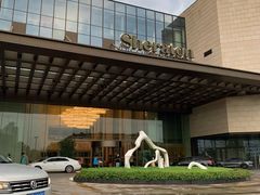 -上海嘉定喜来登酒店