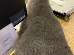 -壹人壹像工作室(购物公园店)