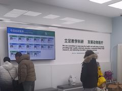 -中国农业大学动物医院