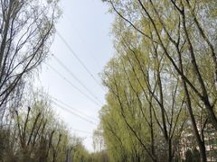-森林公园(尖草坪区)