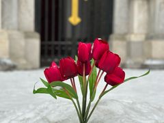 -王府井天主教堂