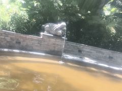 -碧水湾温泉
