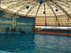 -尼莫海豚馆