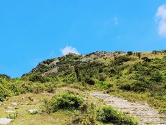-大姆山草场