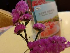 -哈根达斯(石家庄北国店)
