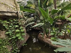 -石家庄市植物园